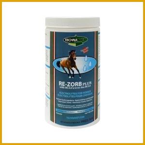 Re-Zorb Plus Equine with BCAA's (Peppermint)