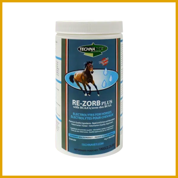 Re-Zorb Plus Equine with BCAA's (Peppermint)