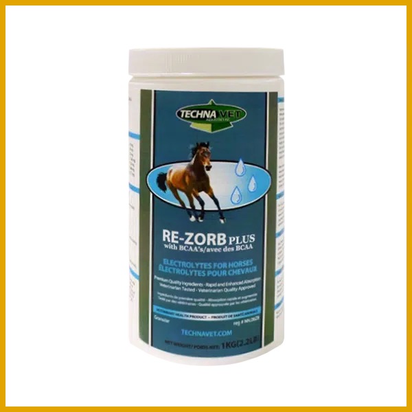 Re-Zorb Plus Equine with BCAA's (Non-Flavored)